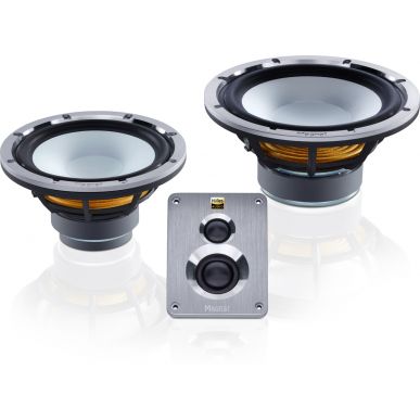 Напольная акустика Magnat Signature 1109 black